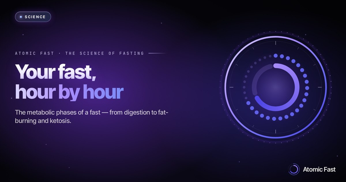 The Metabolic Phases of a Fast, Hour by Hour